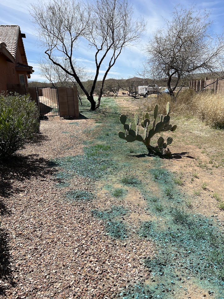 Truly Nolen Pest & Termite Control project